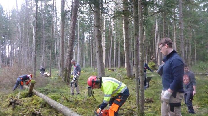 Holzmachen beim Toni in der Lebenau für die Laufener Hüttn | © DAV Laufen