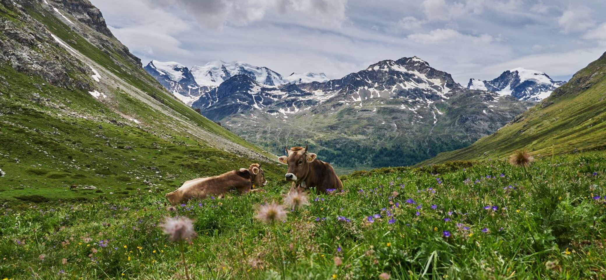 Landschaft | © DAV Laufen/Andi Hahnemann