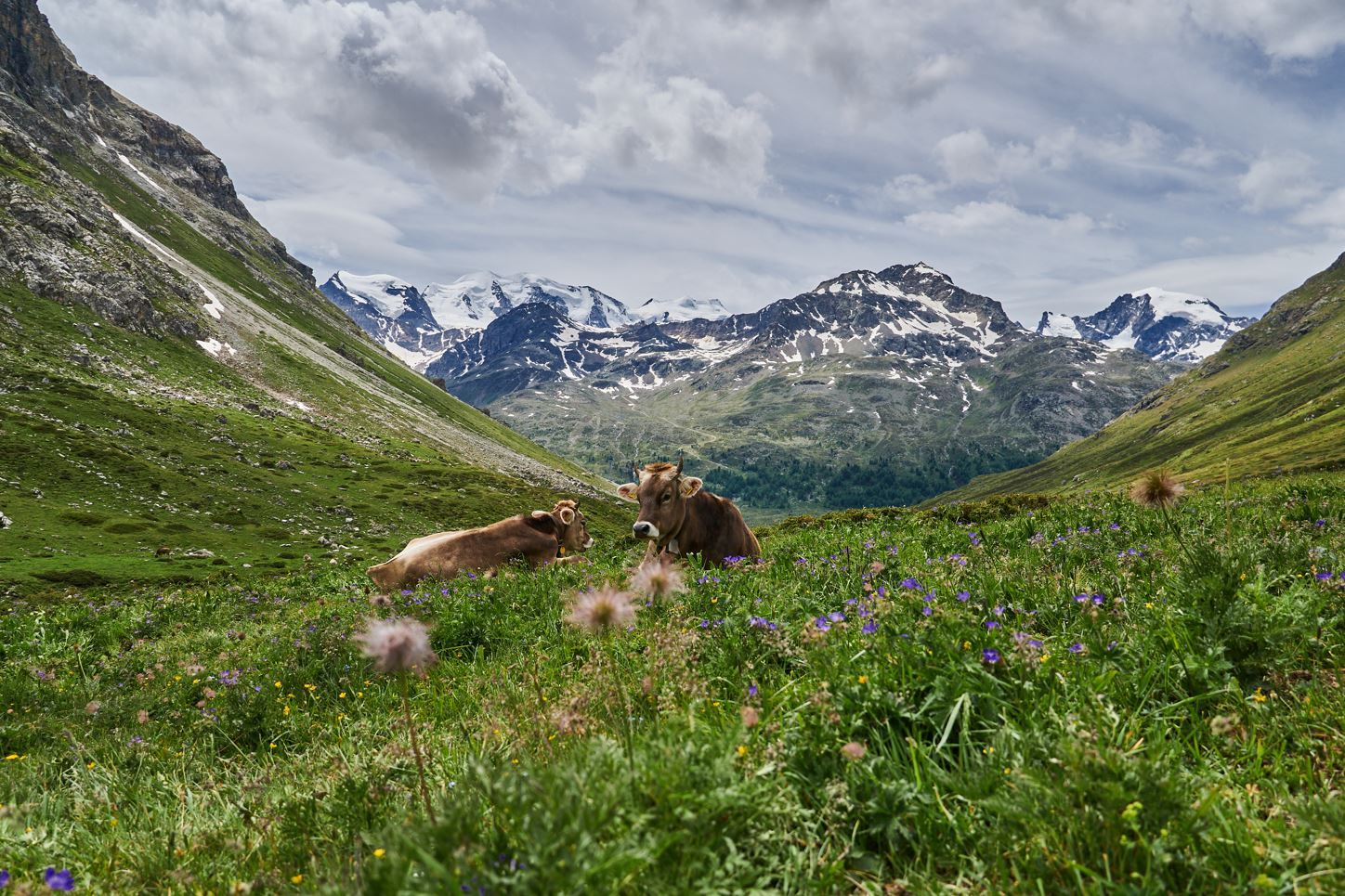 Landschaft | © DAV Laufen/Andi Hahnemann