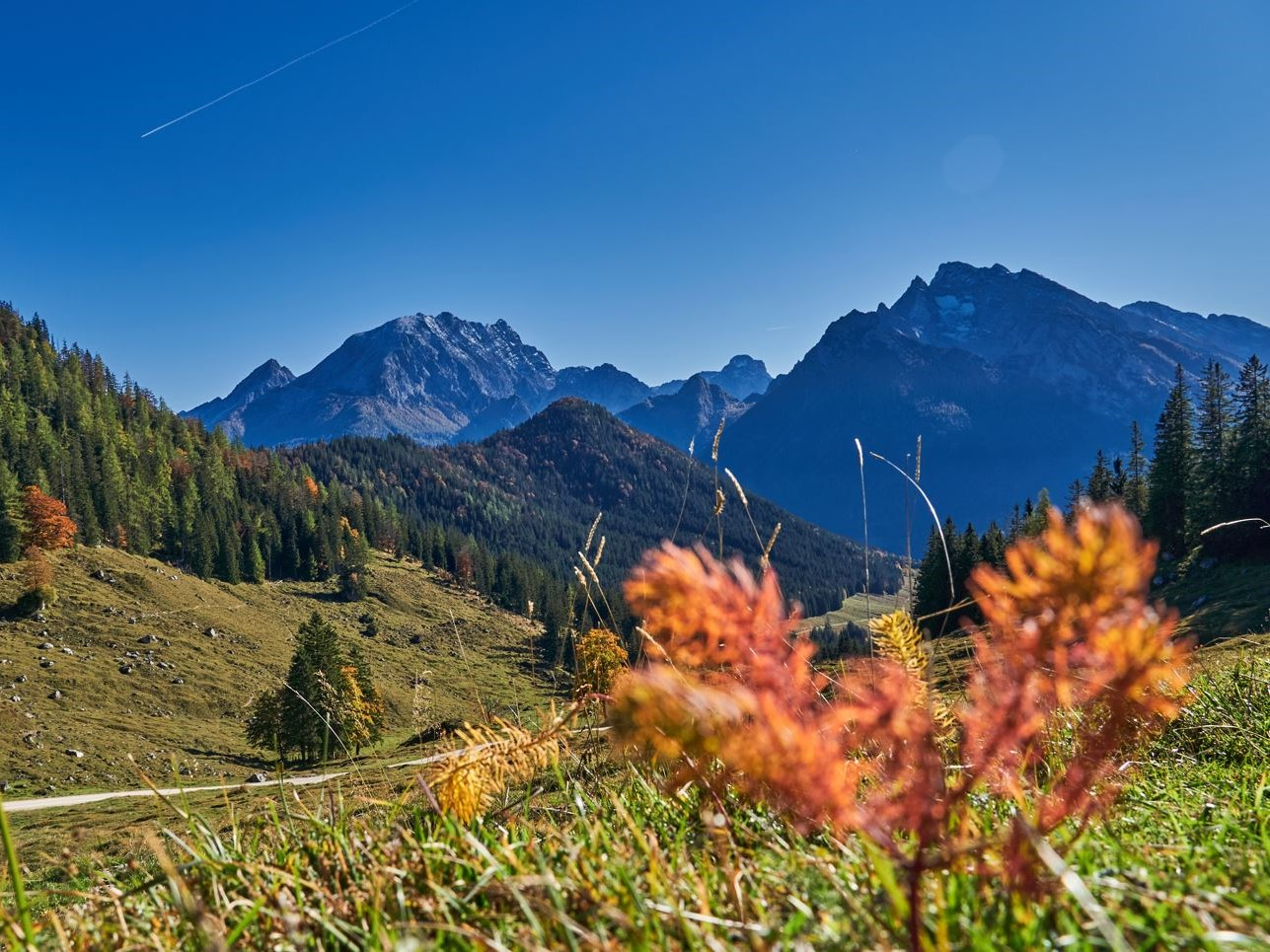 Watzmann | © DAV Laufen